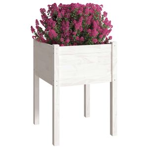 Jardinière carrée de taille moyenne en bois de pin massif blanc, pot à fleurs polyvalent et élégant - Product Image 3
