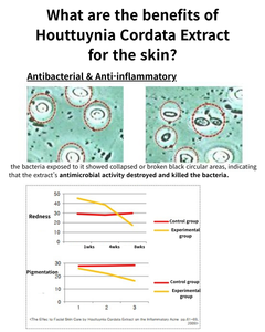 Tonico e Lozione Idratante Coreana per la Pelle - Formula Pronta con Opzione OEM - Product Image 3
