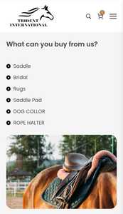 TI101OA059 Customized Branded Western English Leather Horse Saddle <b>Soft</b> Seat Fiberglass Tree Stainless Steel Hardware Equestrian - Product Image 6