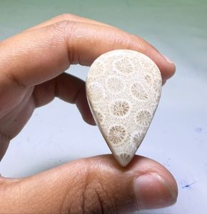 Cabochons de corail fossile naturel, cristaux minéraux polis, pierres précieuses de haute qualité, formes variées, matériaux en vrac pour la fabrication de bijoux - Product Image 4