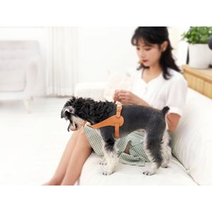 Serie Boutique Ever Craft: Imbracatura Regolabile in Pelle per Cani, Design Elegante - Product Image 2