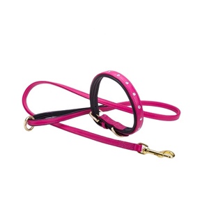 Collier de chien rembourré en cuir de vache de la meilleure qualité avec laisse assortie avec décoration de rivet à motif solide grossiste/fabricant fournisseur - Product Image 3