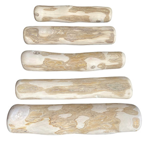 Juguete Masticable para Perros de Madera de Café Natural, Ecológico, Sostenible y Duradero, para Perros Mordedores Agresivos - Product Image 1