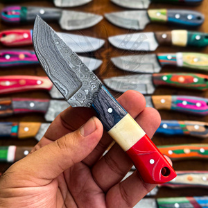 Couteau de chasse professionnel à lame fixe en acier Damas ultra-affûté, manche en bois, pointe clip, longueur totale 6 pouces, pour la survie - Product Image 1