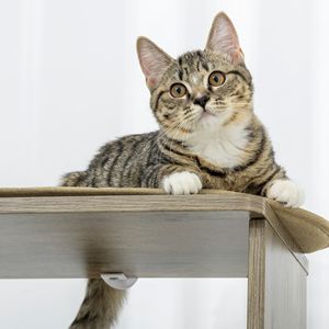 Arbre à chat d'angle moderne de 65 pouces de hauteur, grande tour multi-niveaux avec griffoirs pour chatons et chats de petite taille - Product Image 6