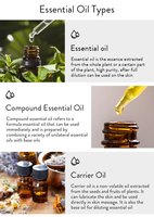 Huile Essentielle Végétale Naturelle Pure pour la Maison 10 ml Soin Massage Thé Lavande Eucalyptus Menthe Orange Ingrédients Échantillon Personnalisé