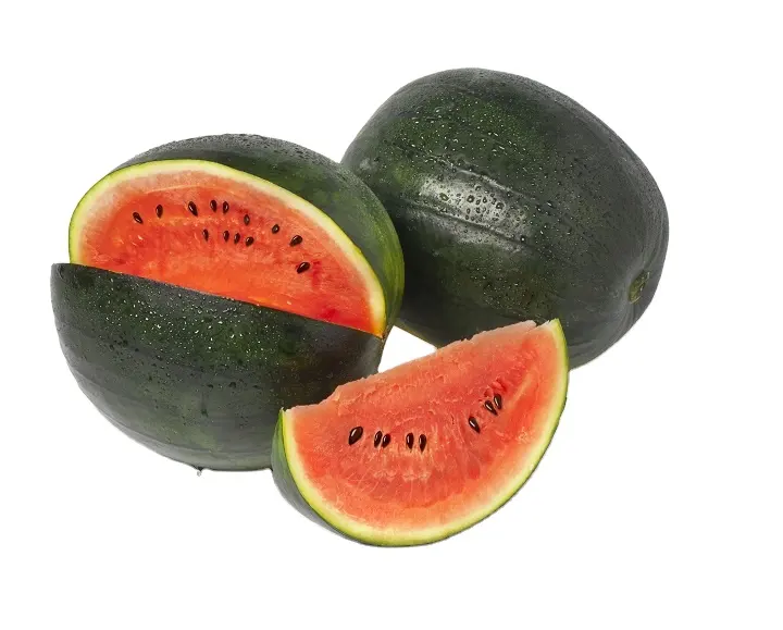 Indischer Wassermelone export für frische Früchte in Zinn verpackung