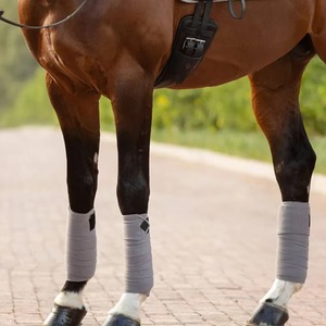Bandages de protection pour jambes de cheval Professional Choice, en polaire double face, durables et flexibles, bandages en polaire pour chevaux - Product Image 6