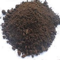 Vermicompost de haute qualité – Engrais organique naturel, excréments de vers, prix compétitif // M. Tom