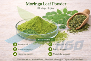 HGO Suministro directo de fábrica Polvo de hoja de Moringa natural puro (grado alimenticio) Especificación Polvo de hierbas (polvo de frutas o verduras) - Product Image 5