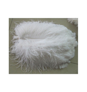 Bulk Ostrich <b>Feather</b> Factory Direct South Africa Origin For Wholesale Export Sale - Product Image 1
