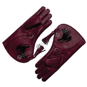 Guantes de Cetrería Personalizados de la Mejor Calidad, Novedad 2026, para Caza, Entrenamiento de Aves, Trampa para Animales, Guantes de Cetrería de Carbono - Product Image 2