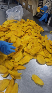Rodajas de Mango Seco Natural, Suaves y Masticables, Snack de Fruta Tropical, Suministro Directo de Fábrica, Venta al Por Mayor, Pedidos al Por Mayor, Certificación HACCP - Product Image 1
