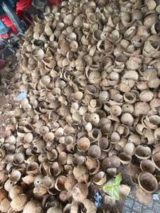 Coquille de noix de coco naturelle du Vietnam pour charbon de bois et usage industriel, marque Vdelta, origine Ben Tre, longue durée de conservation - Product Image 4