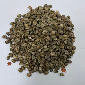 Mejor Precio, Granos de Café Crudo Robusta S16 de Vietnam, Cuerpo Intenso, Alto Contenido de Cafeína, Venta al Por Mayor para Fábricas de Café y Marcas - Product Image 1