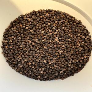 Entrega Rápida en la Mayoría de los Pimientos Negros Naturales Más Demandados de Vietnam, Crudos y Procesados, Frescura y Sabor Garantizados, Forma de Cubo de 10 kg - Product Image 3