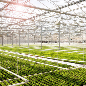 Extrusión de Aluminio Tien Dat, Ligera y Resistente a la Corrosión para Invernaderos y Agricultura - Product Image 3