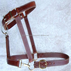 Brown Premium English Saddle Leather horse <b>halter</b> in all custom sizes and colors with strong edge stitching and brass fittings - Product Image 5