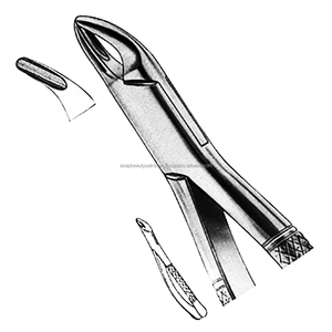 Pinza Extractora Dental de Acero Inoxidable con Empuñadura Moleteada, Instrumento Quirúrgico Clase I, Certificado CE, Color Plateado - Product Image 1