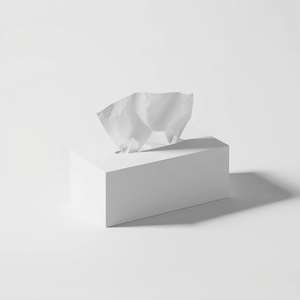 Boîte de mouchoirs faciaux 3 plis de qualité alimentaire, fabriquée en atelier sans poussière pour usage au bureau et à l'hôtel - Product Image 1
