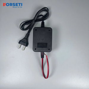 Adaptateur mécanique Forseti FAD-C2415 en gros pour conversion électrique domestique 220V vers 24V DC, en plastique et cuivre ferromagnétique - Product Image 2