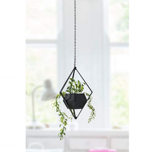 Jardinière murale en métal de qualité supérieure avec sangle en cuir véritable, moderne, pour plantes succulentes et intérieur - Product Image 6