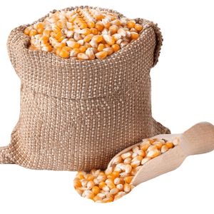 Maíz Amarillo de Alta Calidad para Alimentación Animal, Nutrición para Aves de Corral, Ganado Vacuno, Venta al por Mayor, Suministro a Granel, Exportación, Proveedor, Fabricante - Product Image 5