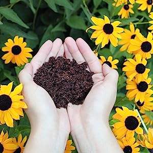 Bloc de tourbe de coco de qualité supérieure pour l'agriculture, l'horticulture et la culture en serre, disponible à un prix abordable en provenance d'Inde - Product Image 3