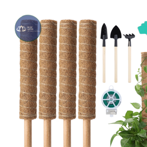 Poste de Fibra de Coco Natural DISPONIBLE – Poste de Extensión de Fibra de Coco Ecológico de Primera Calidad - Product Image 1
