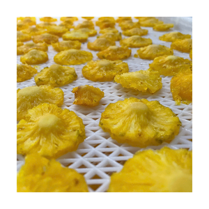 Ananas séché tendance du moment, en vrac, à mâcher, fournisseur Vietnamien - Product Image 1