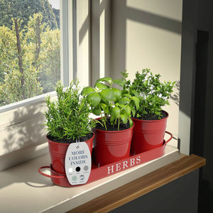 Ensemble de Jardinière Moderne avec Trey pour Fleurs Fer Matériel Couleur Cerise Pour Jardin Balcon Décoration Indien Exportateur - Product Image 6