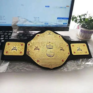 Ceinture de championnat de la WWE (World Wrestling Entertainment) plaquée or et en cuir noir - Product Image 6
