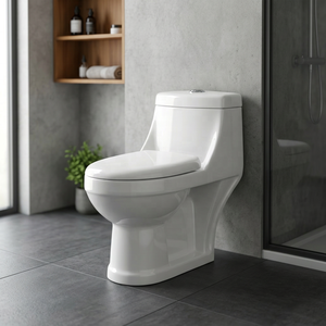 WC monobloc allongé à siphon avec abattant et accessoires, ensemble de sanitaires en céramique - Product Image 2