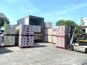 Vente en gros de boissons gazeuses OEM/ODM jus de fruits avec mélange de saveurs de A & B Vietnam fabricant - Product Image 5