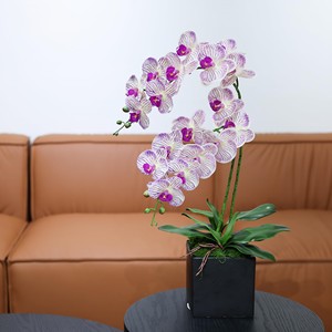 THAF-012 Ramas de Orquídeas Premium de Tallo Largo, Orquídeas Realistas para Diseño Floral de Interiores y Centro de Mesa Elegante - Product Image 5