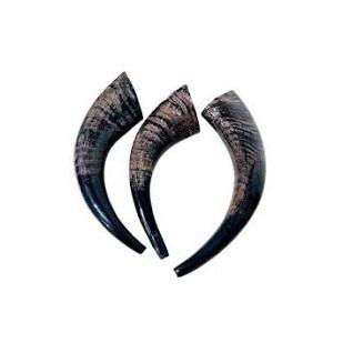 เช่นเดียวกับภาพ