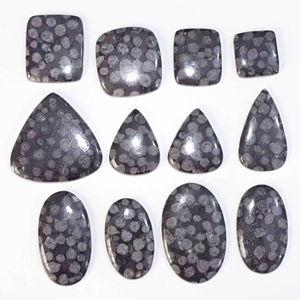 Quartz noir fossile naturel, semi-précieux, cabochon ovale lisse en forme de poire, pierre précieuse non traitée, taille personnalisable, fournisseur - Product Image 4