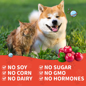 Gotas líquidas de arándano OEM con extracto para el cuidado de la salud de mascotas y suplementos para el <span class=keywords><strong>tratamiento</strong></span> de la vejiga/riñón/UTI digestiva para perros y gatos - Product Image 3