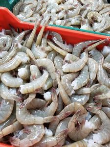 Crevettes Tigre Noires Surgelées, Fruits de Mer, Style Boîte OEM, Traitement IQF, 100% Originales, 10kg, Crevettes Rouges Entières Séchées Sans Tête - Product Image 2