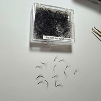 Extensions de cils Promade faites à la main, volume 2D-20D, courbure C CC D, mixtes, longueurs variées, base pointue, 0,07 mm