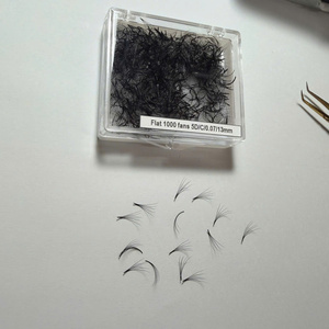 Extensions de cils Promade faites à la main, volume 2D-20D, courbure C CC D, mixtes, longueurs variées, base pointue, 0,07 mm - Product Image 1