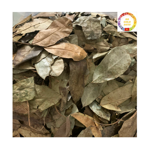 ส่วนผสมชาเพื่อสุขภาพ |   ผู้ผลิตใบชื่นชมพู่แห้งธรรมชาติแบบขายส่ง - Product Image 3