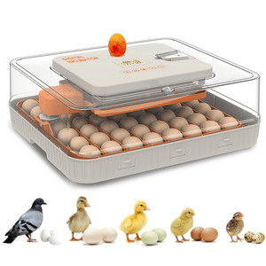 Incubatrice Automatica per 56 Uova con Controllo Digitale dell'Umidità, per Uova di Pollo, Anatra e Oca, Struttura in PC per Maggiore Durata - Product Image 2