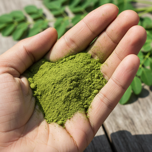 Poudre de feuilles de Moringa 100 % pure certifiée biologique, soluble dans l'eau, à mailles fines, riche en nutriments, qualité alimentaire, durée de conservation de 24 mois - Product Image 2