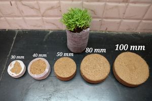 Discos/Perlas/Plugues de Fibra de Coco Comprimida Jiffy para Plántulas de Interior | Medio de Cultivo para Plantas, Hierbas y Vegetales de Exterior - Exportador INDIA - Product Image 6