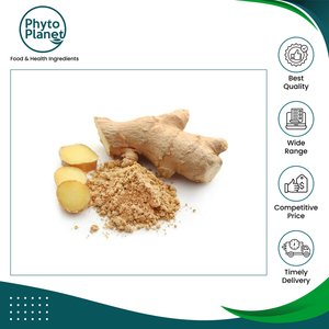 Nouvelle Arrivée en Stock - Extrait de Gingembre Naturel en Poudre de Qualité Supérieure, Ingrédient Aromatisant Premium à Vendre - Product Image 2