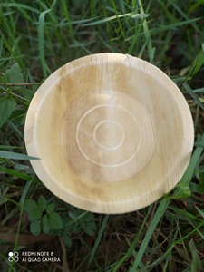 [VENTE CHAUDE] |   Assiettes jetables biodégradables en feuilles de palmier de 10 pouces, en vrac, pour le camping en plein air, les barbecues et les fêtes au Vietnam - Product Image 5