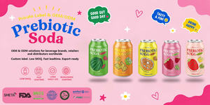 Bevanda Gassata Prebiotica all'Arancia 330ml in Lattina, Etichetta Privata, Campione Gratuito, Qualità Export, Prezzo Conveniente, HALAL, HACCP - Product Image 4