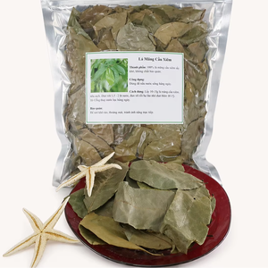 Hojas de guanábana secas premium de Vietnam, hojas de graviola naturales, producto vegano de calidad alimentaria, cosechado en la naturaleza, producto seco limpio. - Product Image 1