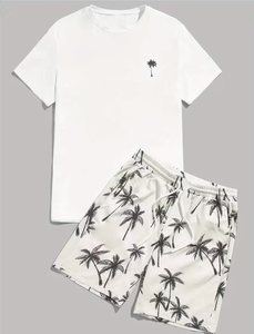Men Summer T-Shirt and Shorts Set Casual Beachwear Two-Piece Outfit Custom Logo ODM Front - Product Image 5